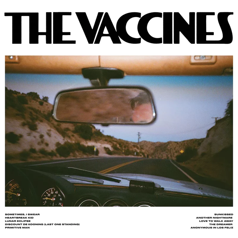 The Vaccines – Pick-Up Full Of Pink Carnations
